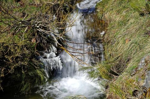 Arroyo de Corralines (La Riera de Babia)