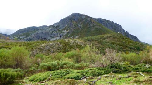 Cabeza de la Braña (1922) Riolago de Babia