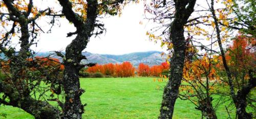 Camino de Riolago a Villasecino