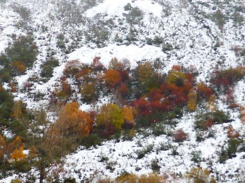 Riolago de Babia.