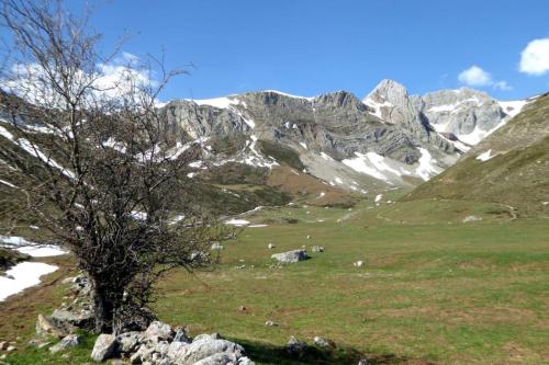 Valle de la Fuenfría (La Riera de Babia)